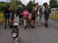 Rodinná procházka s koňmi