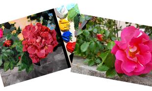 Růže akrylem na plátno - online kurz