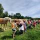 Skupinové vodění dětí na koni s prohlídkou Farmy pod Hradem Dívčí Hrád