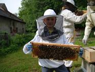 Včelí farma AnnKas - exkurze a výroba svíček