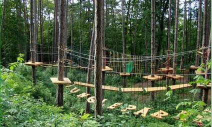 Lanové centrum Jungle park Brno - adrenalin v korunách stromů