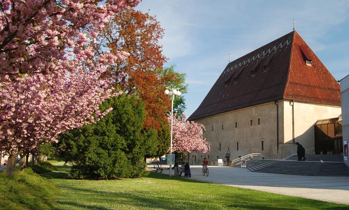 Hrad Litoměřice - srdcem hradu je vinařská expozice