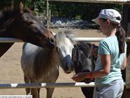 Farmapark Calamity Jane Probulov - jízda na koni a venkovní aktivity