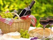 Elegantní piknik s degustací vín Praha - zážitek pro dámy + DÁREK ZDARMA