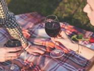 Elegantní piknik s degustací vín Česká Lípa - zážitek pro dámy + DÁREK ZDARMA