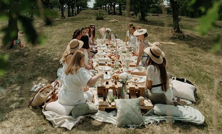 Elegantní piknik s degustací vín Česká Lípa - zážitek pro dámy + DÁREK ZDARMA