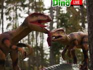 DinoLive Praha - dinosauří zábavný park pro děti i dospělé