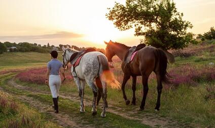 Výuka jízdy na koních na Farmě pod Hradem Dívčí Hrad